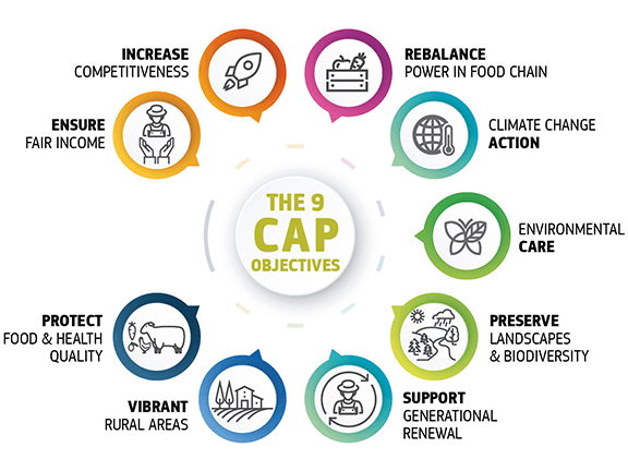 Cap policy on sale